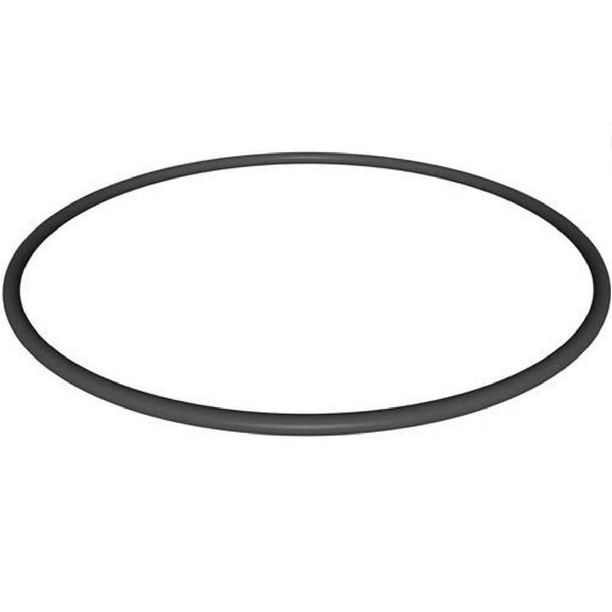 POOL O-RING FOR STAR CLEAR PLUS FILTER