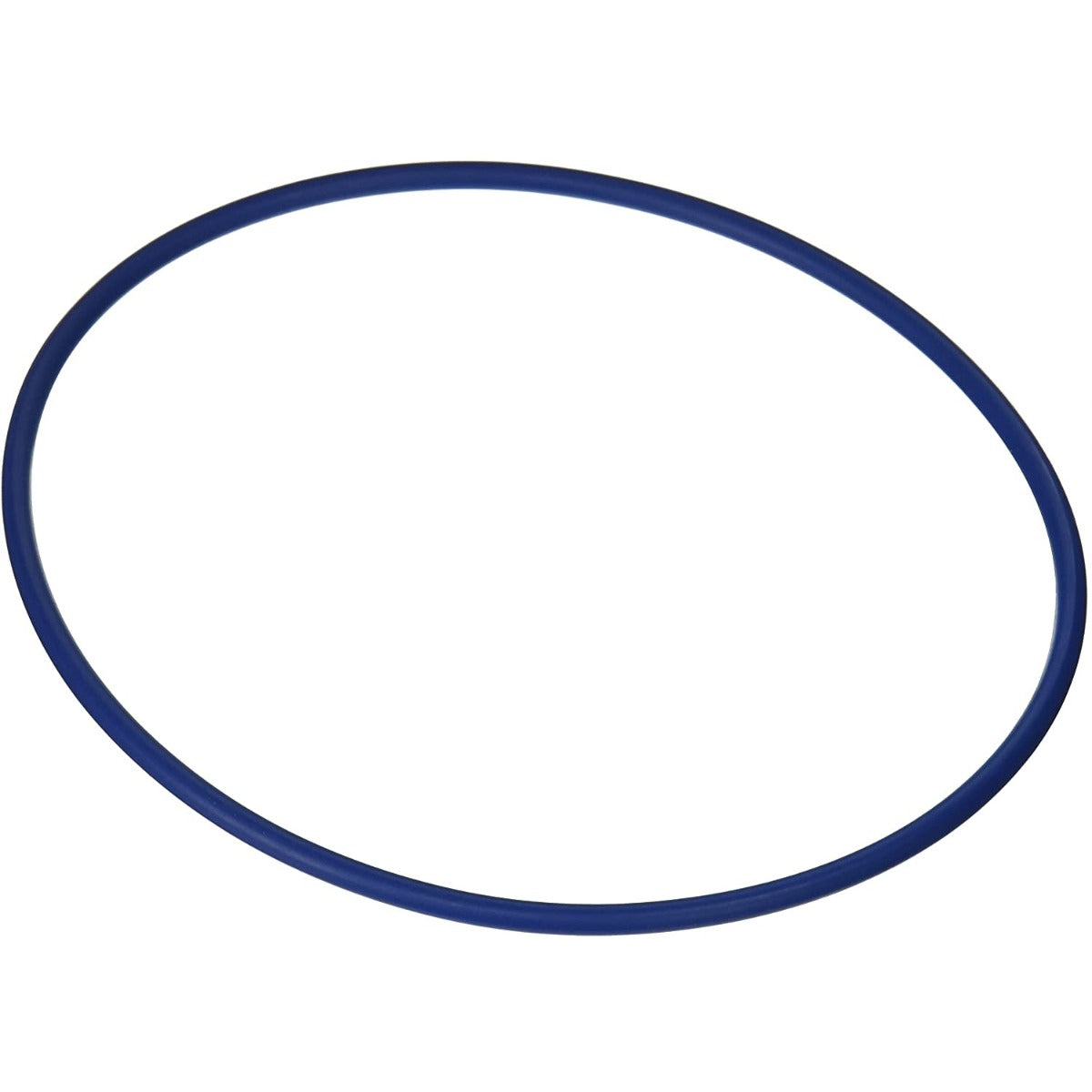POOL TANK O-RING