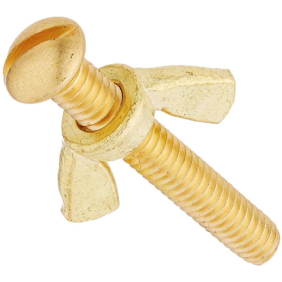 POOL BRASS WING NUT & BOLT